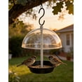 thumbnail image 3 of Adjustable Hanging Bird Feeder for Outdoors with Metal Tray, Clear Rain-Proof Dome, and Large Capacity, 3 of 5
