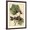 Brown Frame, variant on Art.com Petite Dragonflies I Art Print by Vision Studio, 12" x 16"