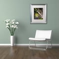 thumbnail image 3 of Trademark Fine Art "Let Me Be" Canvas Art by Philippe Sainte-Laudy, White Matte, Silver Frame, 3 of 4