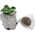thumbnail image 4 of Cotta Planters Elephant Succulent Planter Set, 2-Pack Mini Ceramic Animal Pots for Small Plants, Gray and White, 4 of 5