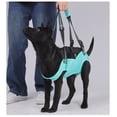 thumbnail image 3 of Dog Lift Harness, Emergency Backpack Pet Legs Support & Rehabilitation Sling Carrier, Adjustable Lifting Straps Carrier for Senior Elderly Dogs Joint Injuries Arthritis, 3 of 10