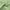 Sage Green, variant on FOLINS&HOME Orange Round 60 Inch Tablecloth - Waterproof & Wrinkle Free Heavy Duty Washable Polyester Table Cloths for Party, Banquet, Dining - Circle/Circular