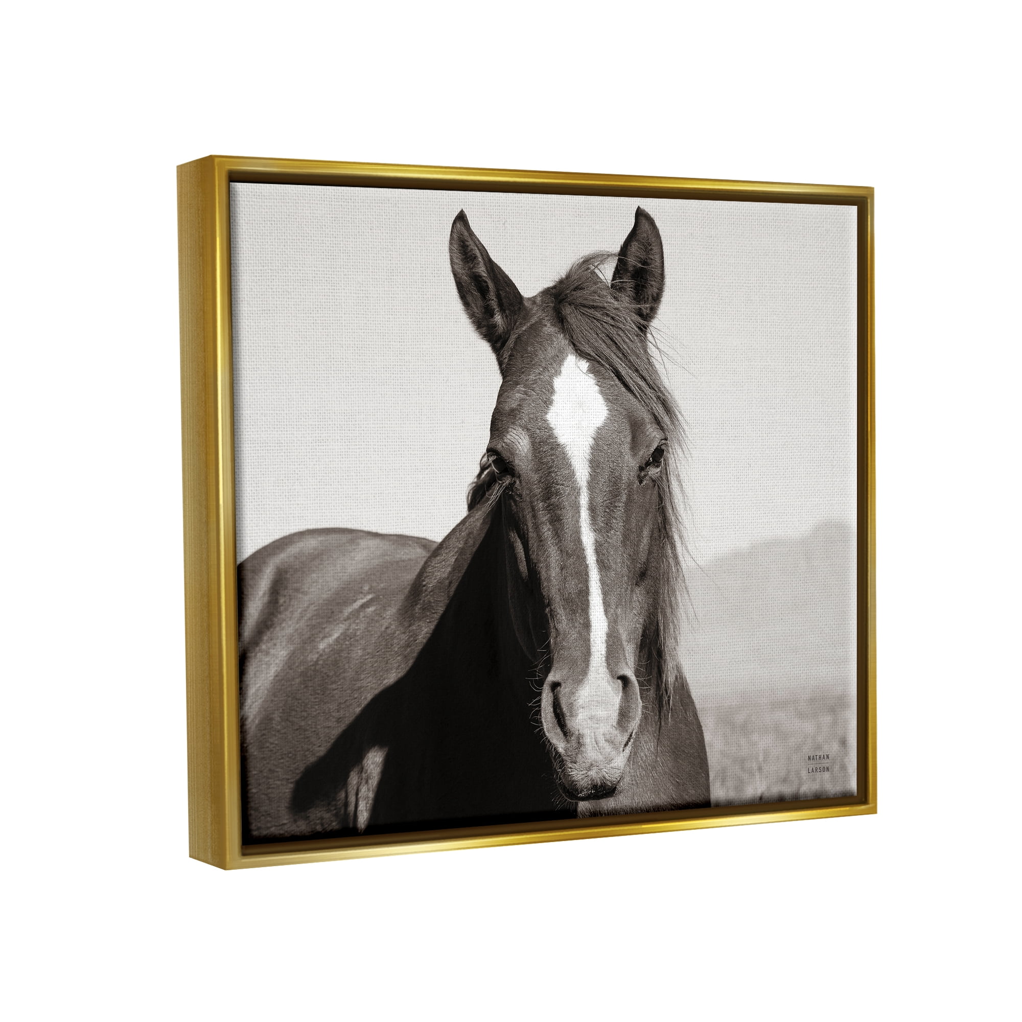 Stupell Industries Windblown Stallion Portrait Animals & Insects Photography Gold Floater Framed Art Print Wall Art, 21 x 17