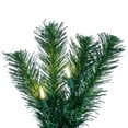 thumbnail image 3 of Vickerman 50' Douglas Fir Artificial Christmas Garland, Warm White LED Lights, 3 of 3