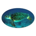 thumbnail image 1 of CafePress - Ocean Turtle Sticker - Sticker (Oval), 1 of 1
