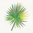 thumbnail image 2 of Gango Home Decor Contemporary Tropical Fun Palms IIII & IV by Courtney Prahl (Ready to Hang); Two 12x12in Brown Framed Prints, 2 of 5