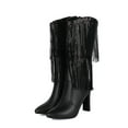 thumbnail image 5 of Black Women Pointed Toe Mid Calf Boots Side Zipper High Heel Tassel Accent For Winter Wear, 5 of 9