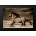 thumbnail image 2 of Dearing, Lisa 18x13 Black Modern Framed Museum Art Print Titled - Wind Runner, 2 of 5
