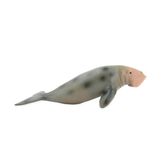 Dugongs, Manatee, Sea Cow, Museum Quality, Hand Painted, Very Realistic Rubber Mammal, Model, Educational, Gift, 6" CH329 BB133