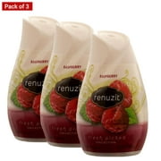 Renuzit Adjustable Air Freshener,  Apple and Cinnamon, Pack Of 3