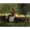 thumbnail image 3 of Homer, Winslow 18x15 Black Modern Framed Museum Art Print Titled - On The Fence, 3 of 5