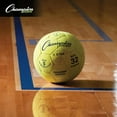 thumbnail image 3 of Champion Sports 3 Star Indoor Official Size 5 Soccer Ball with Custom Suede Cover, 3 of 5