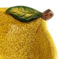 thumbnail image 5 of Creative Co-Op Countryside Citrus Stoneware Lemon Juicer, Multicolor, 5 of 10