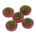 thumbnail image 1 of 5 piezas 1/75 Mini jardín modelo para decoración de jardín de hadas libre, 1 of 6