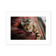 thumbnail image 1 of Animal ojo verde gato fotografía Marco de Fotos de escritorio imagen Blanco Pintura arte 5x7 pulgadas, 1 of 4