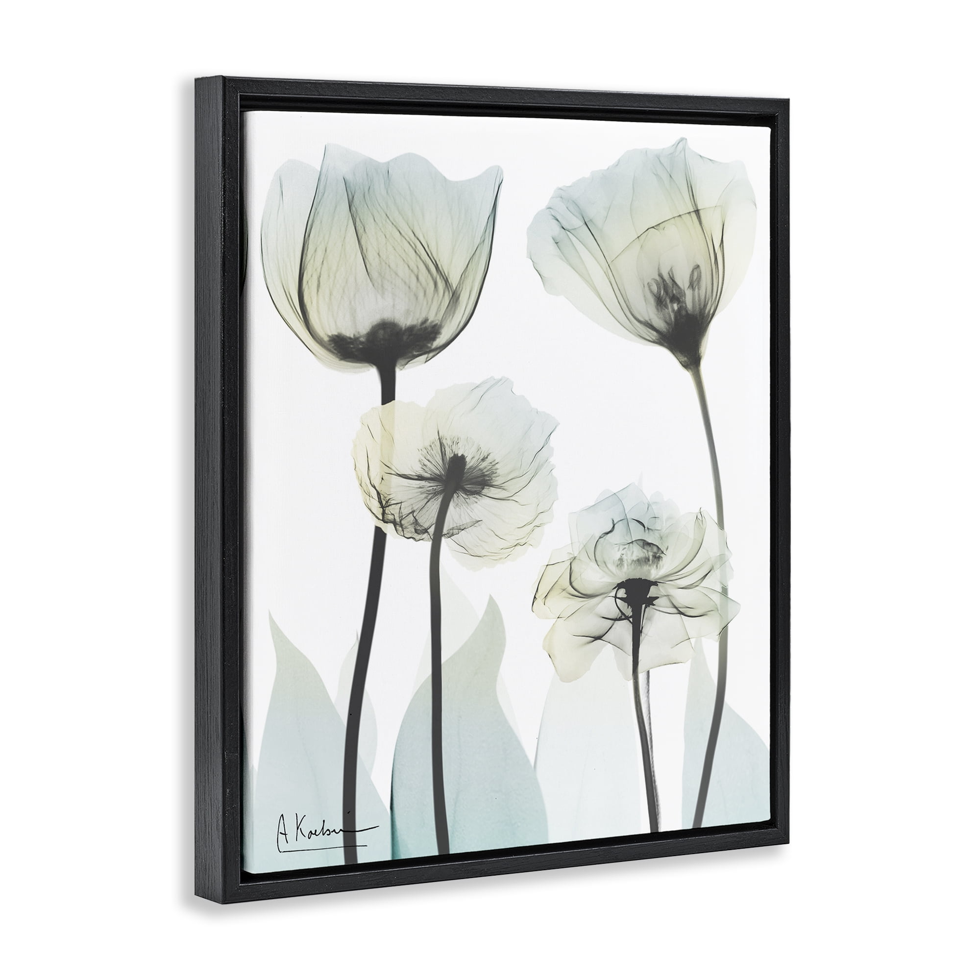 Stupell Industries Floral Luxury Of Creation Black Framed Floater Canvas Wall Art, design by Albert Koetsier