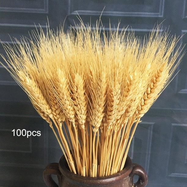 Ramo De 100 Piezas De Orejas De Trigo Realistas, Ramo De Gavillas De Trigo Secas, Accesorios De Fotografía Para Decoración De Bodas