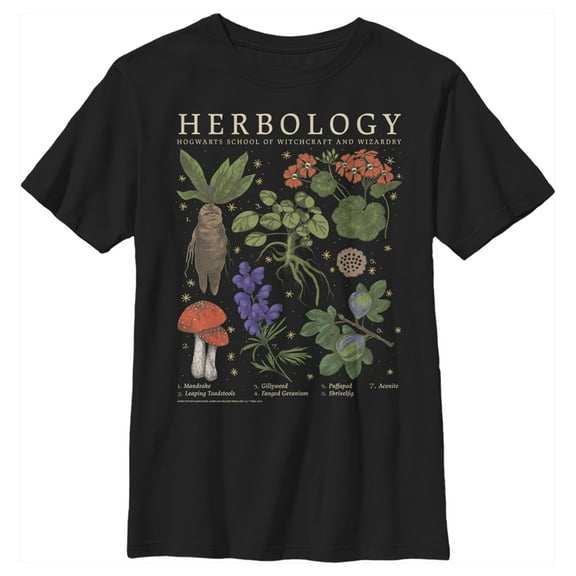 Boy's Harry Potter Hogwarts Herbology Graphic Tee Black X Large