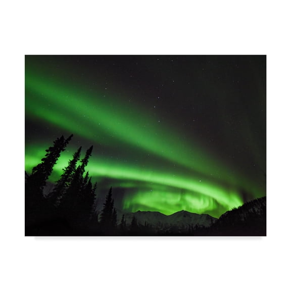 Trademark Fine Art 'Circles Of Wonder' Canvas Art by Brenda Petrella Photography Llc