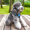 thumbnail image 3 of Magshion No Pull Mesh Dog Harness with Control Handle, Reflective Vest Pet Harness for Small Dogs, Sky Blue S, 3 of 9