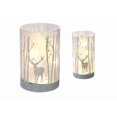 thumbnail image 1 of White Deer Led Globes Duo, 1 of 1