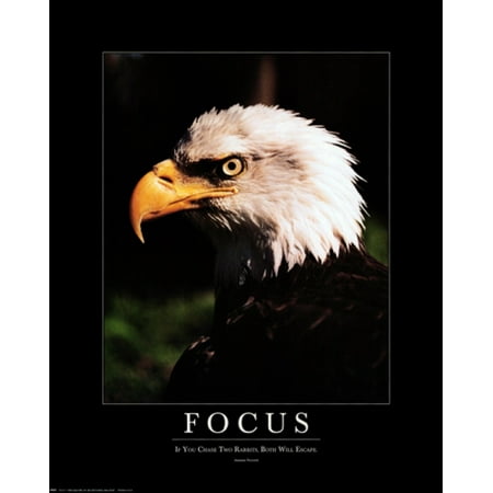 focus eagle poster print