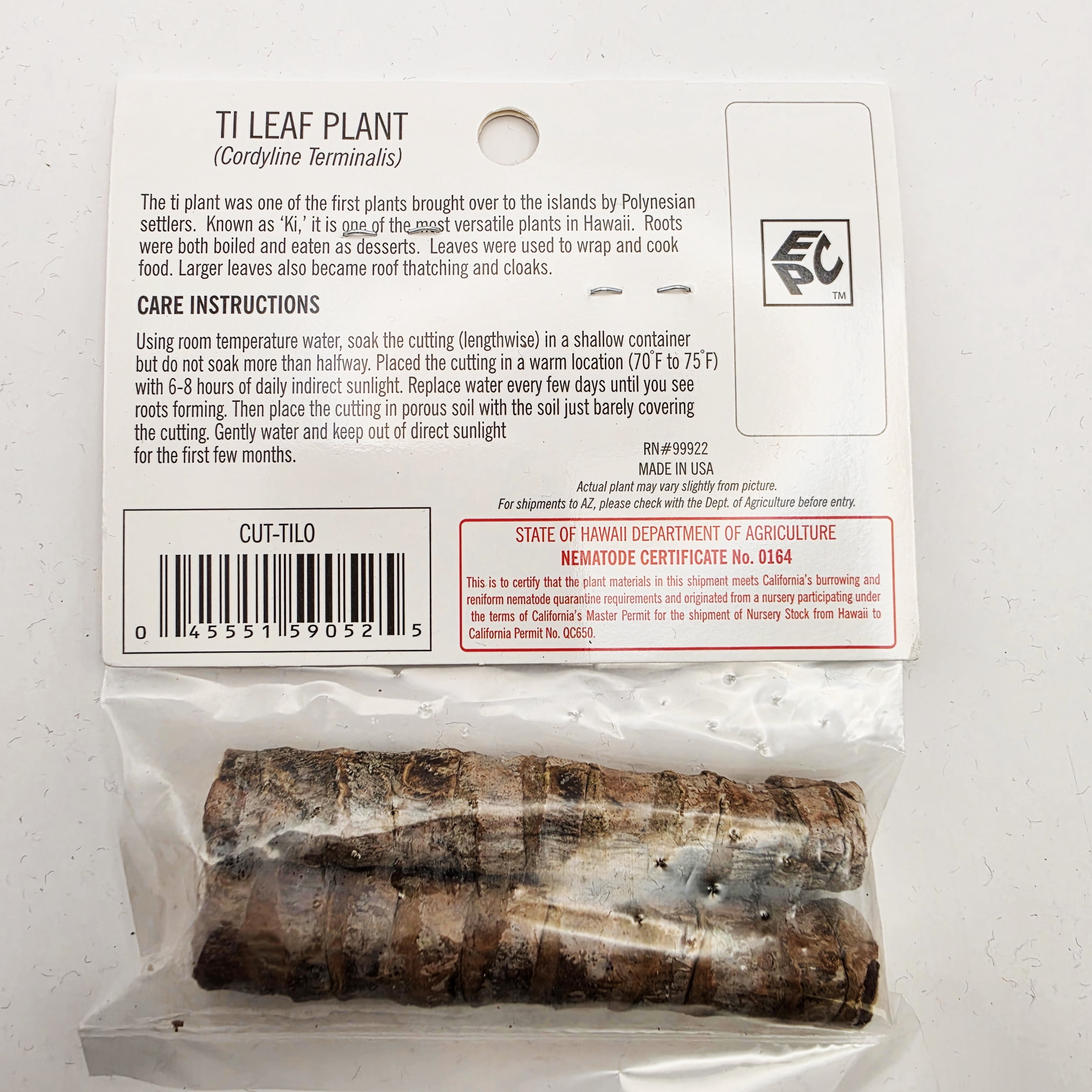 Souvenir Plant Cutting Tilo