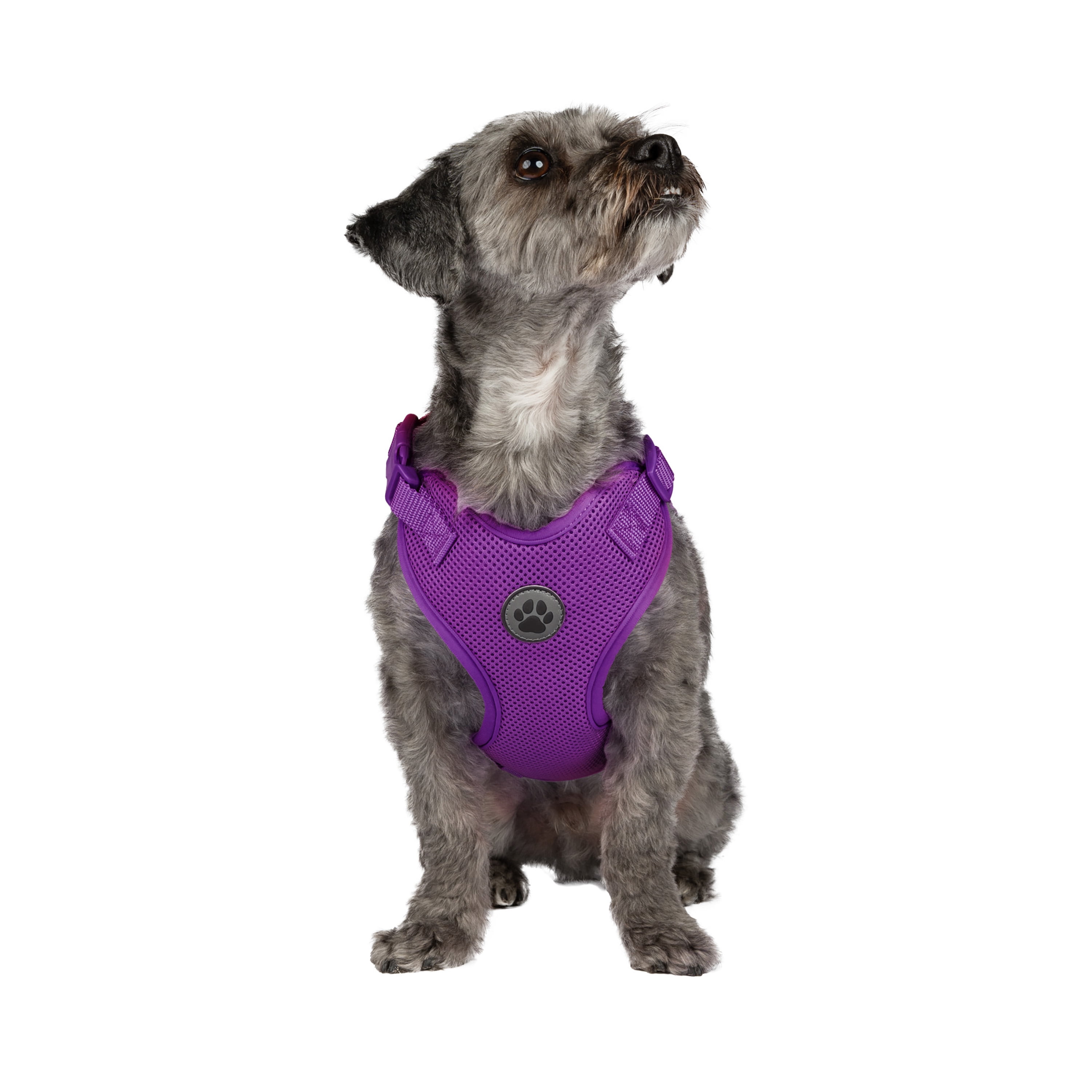 Vibrant Life Polyester Mesh Adjustable and Reflective Dog Walking Harness, Purple, S