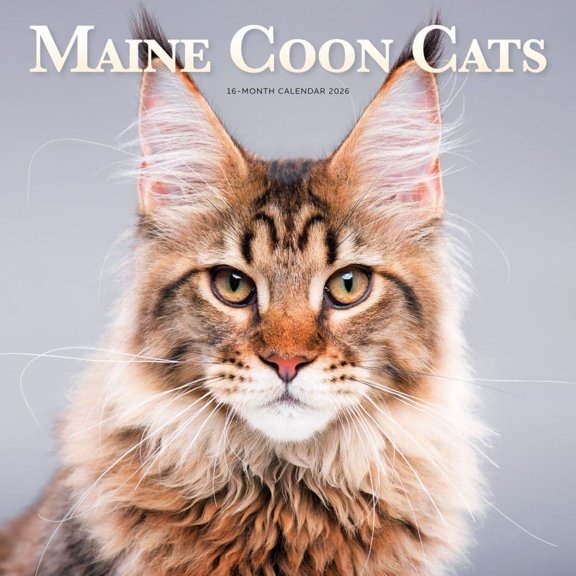 Carousel Calendars, Maine Coon Cats 2026 Wall Calendar