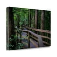 thumbnail image 2 of Tangletown Fine Art Coagree National Park by Amber Berninger Poster Frame - 32 x 48 x 1.5 in., 2 of 2