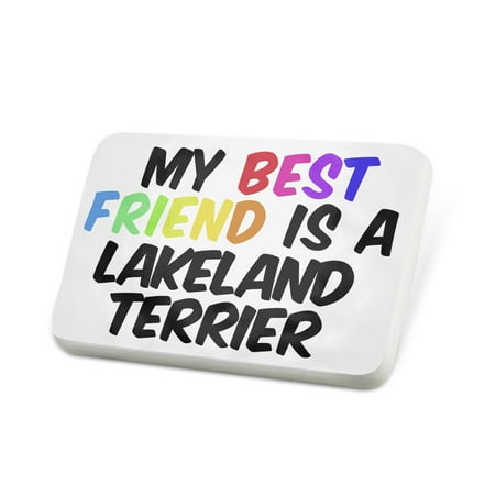 Porcelein Pin My best Friend a Lakeland Terrier Dog from England Lapel Badge – (Best Brush For Lakeland Terrier)