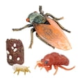 thumbnail image 2 of Conjunto de modelos de ciclo de de animales Juguete de salmón Colección de juguetes educativos para Sunnimix  Juego de crecimiento de tortugas marinas, 2 of 8