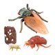 thumbnail image 2 of Conjunto de modelos de ciclo de de animales Juguete de salmón Colección de juguetes educativos para Sunnimix  Juego de crecimiento de tortugas marinas, 2 of 8