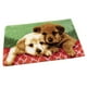 thumbnail image 3 of 2Pcs / set Latch Hook para principiantes de ganchos de pestillo con de perro oso para niños y adultos con las herramientas y su perfecl Carpet Latch Hooking Kits, 3 of 8