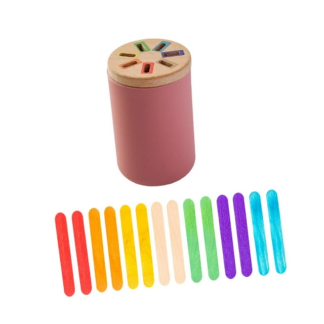 ZLight Wooden Color Shape Sorting Box Wooden Educational Toy for Kids Toddlers Baby Style C Style B