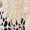Beige, variant on Cardigan Women Crochet Lace Hollow Out Button Front V Neck Long Sleeve Knit Crop Sweater Top Outfits Clothes