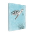 thumbnail image 4 of Trademark Fine Art 'Coastal Sea Life I v2' Canvas Art by Beth Grove, 4 of 4