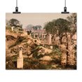 thumbnail image 2 of Print: Museum Garden, II, Carthage, Tunisia, 1899, 2 of 4