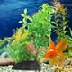 thumbnail image 3 of Planta de acuario plástico artificial planta de pescado de peces de acuario planta plástica planta submarina, 3 of 8