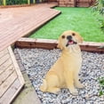 thumbnail image 4 of Adorno de resina para jardín, césped y patio, de alta simulación, para perro, 4 of 12