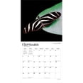 thumbnail image 4 of Butterflies | 2027 12x24" (Hanging) Wall Calendar | Plastic-Free | BrownTrout, 4 of 9
