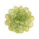 thumbnail image 1 of Broche de flores, accesorios de fiesta, broche floral decorativo bohemio creativo. Verde, 1 of 9