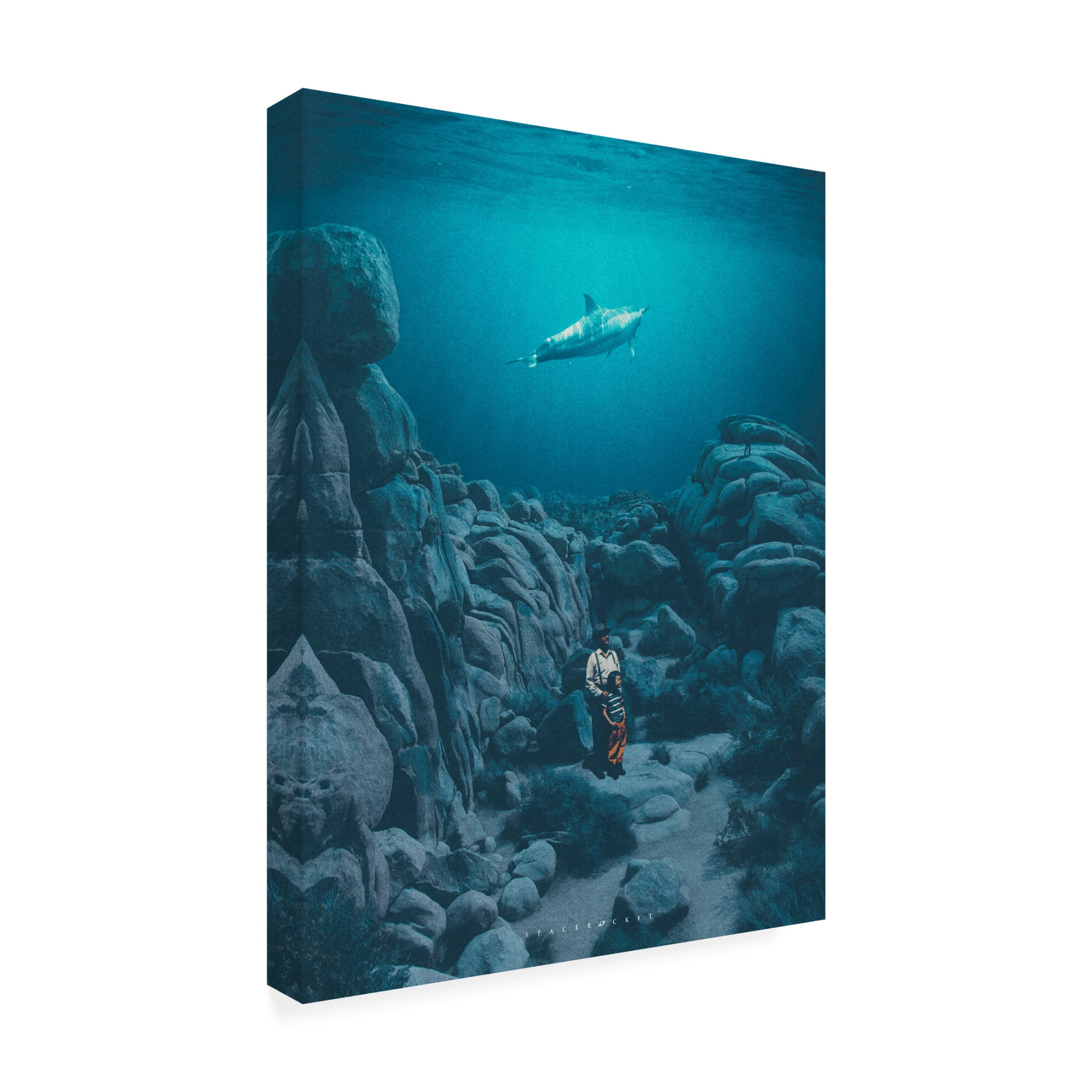 Trademark Fine Art spacerocket art  262 Canvas Wall Art