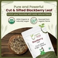 thumbnail image 4 of Organic Way Blackberry Leaf (Rubus Fruticosus) Cut & Sifted -Herbal Tea | European Wild-Harvest | Organic & Kosher Certified | Non GMO & Gluten Free | USDA Certified | Origin - Albania(1 lbs / 16oz), 4 of 8