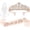 Rose Gold, variant on 3 Pcs Bachelorette Party Decorations Bridal Shower Crown, Bride to Be Sash&Veil for Women Bachelorette Party Gifts, Bachelorette Party Supplies, Gifts, Favors (Gold)