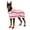 pink, variant on Soft Microfiber Pet Bathrobe & Loungewear, Quick Dry Dog Dressing Gown, 4 Color Options, Ideal for Post Bath Drying & Home Use, Fits Small to Large Dogs