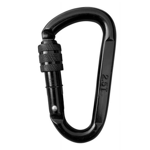 M&M Sales Enterprises Cast Steel Locking Carabiner Swing Accessory