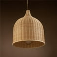 thumbnail image 1 of ELE Light & Decor ELE-BG010720D40 Reely 1-Light Brown Pendant Light, 1 of 1