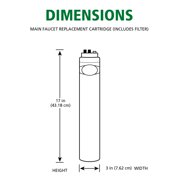 A. O. Smith Main Faucet Filter Replacement
