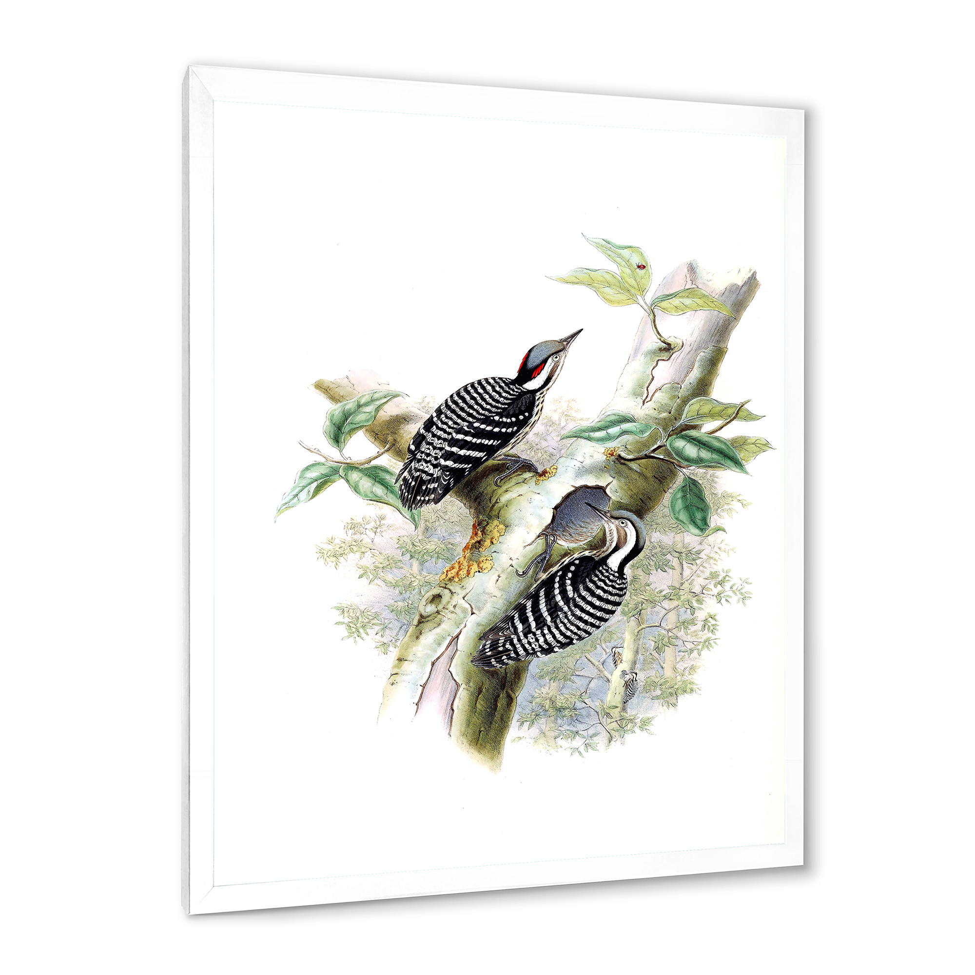 Designart 'Ancient Birds In The Wild V' Traditional Framed Art Print